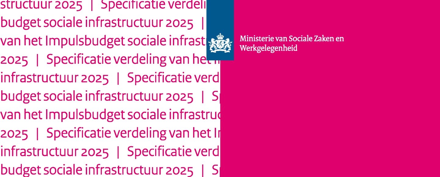 Impulsbudget 2025 